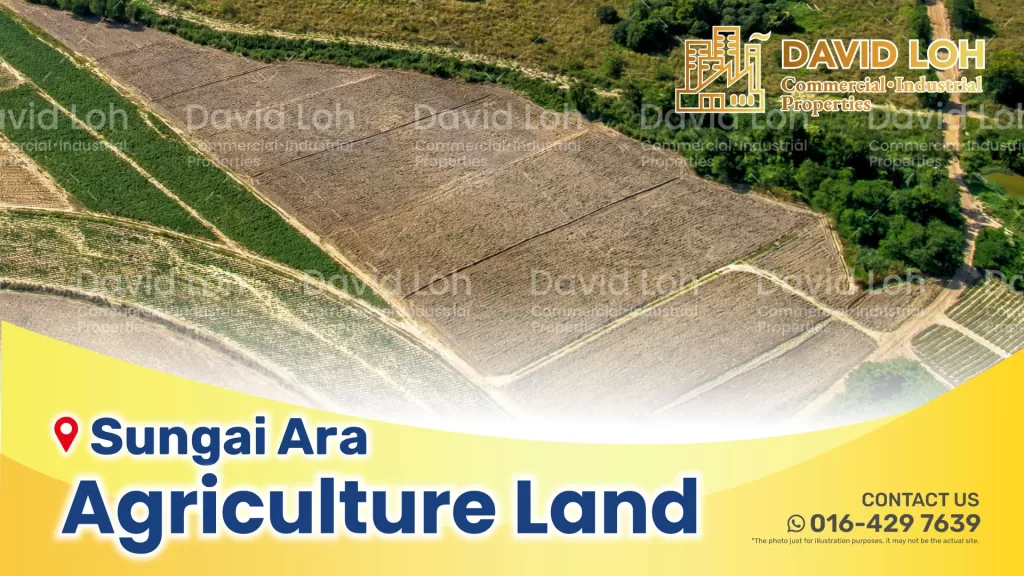 sungai ara agriculture land